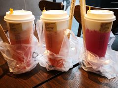 -百分茶(九洲新世界店)