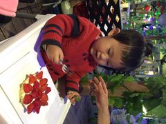 德国帕拉娜自酿啤酒餐厅Paulaner&nbsp;Brauhaus-Paulaner·德国帕拉娜自酿啤酒餐厅(海上世界店)