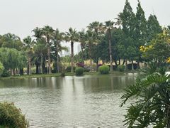 -湖泉半山温泉