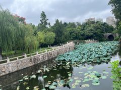 -水绘园
