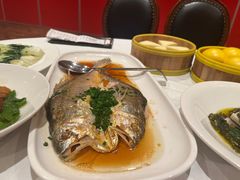 -醉辉皇原味海鲜江南菜(成都大魔方店)