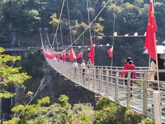 -九龙江国家森林公园