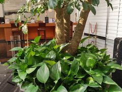 -天津海河悦榕庄·Lobby Lounge大堂吧