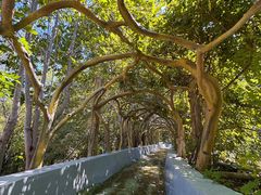 -沂蒙山旅游区云蒙景区(蒙山国家森林公园)