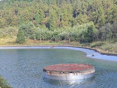 -武陵山森林公园