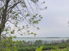 -江滩湿地公园