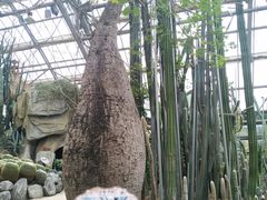 -南山植物园