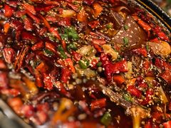 毛血旺-百富源·海鲜辽菜(和平北大街店)