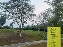 -白鹭湾湿地公园