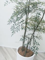-HEYAN荷妍专业脱毛连锁机构