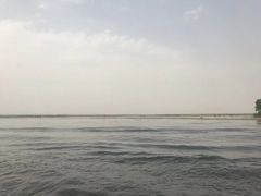 -白洋淀景区