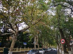 -青岛第三海水浴场