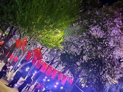 -人民防洪胜利纪念塔