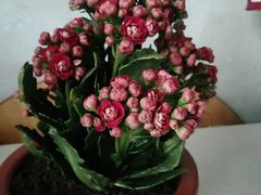 -印咖啡IN COFFEE(红旗街店)