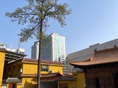 -宝通禅寺