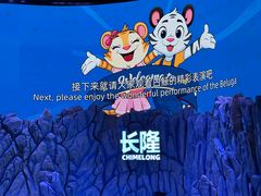 -珠海长隆海洋王国