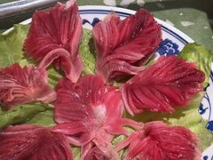 -五里关火锅(上海鑫耀·光环Live店)