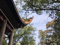 -南岳衡山风景名胜区-南岳大庙