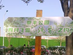 -泰丰公园