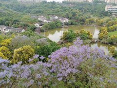-张坝桂圆林公园