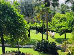 -三亚亚龙湾天域度假酒店