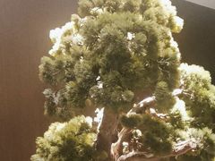 -喜湘宴·精致湖南菜(和平西桥店)