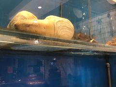 -小平岛開海水饺(浑南店)