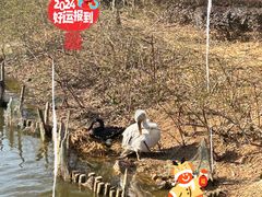 -无锡动物园·太湖欢乐园