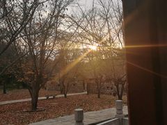 -淄博聊斋城景区