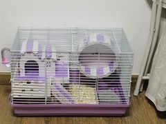 -钓仓鼠(洋桥北里小区店)