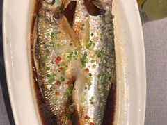 -龙宴海鲜城(经中路店)