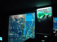 -瑞普利水族馆