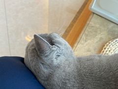 -Catmate·猫肥家润(金润铂宫店)