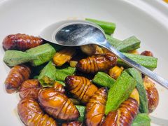 -来哥菜馆·大厨烹小鲜