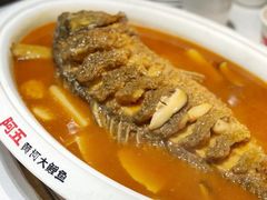 红烧黄河鲤鱼-阿五黄河大鲤鱼(纬三路店)