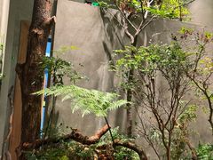 -森SPA·泰式按摩·精油Massage(宝安中心店)