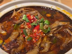 -7017浙菜•建德味(中财店)
