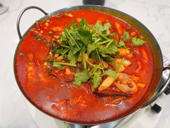 -老毛手抓·盐池滩羊非遗手抓(宁夏总店)