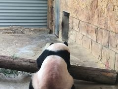 -常州淹城野生动物世界