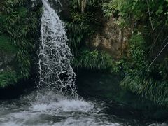 -龙苍沟森林公园
