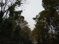 -浙江农林大学(东湖校区)