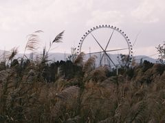 -庾园