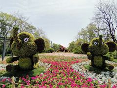 -沈阳植物园