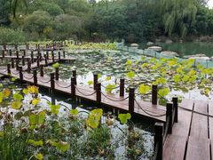 -苏州金鸡湖大酒店