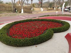 -桂溪生态公园