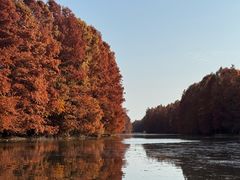 -上海海湾国家森林公园