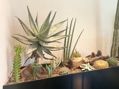 -J Create城市露营咖啡·简餐·宠物(上海动物园店)