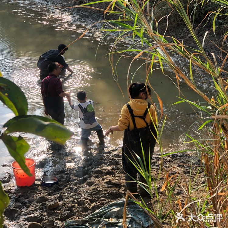 山塘水库摸鱼虾