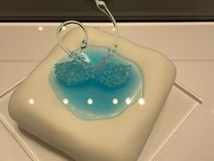 -BLACKSWAN黑天鹅(新希望店)