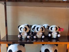 -成都保利公园皇冠假日酒店(熊猫基地店)